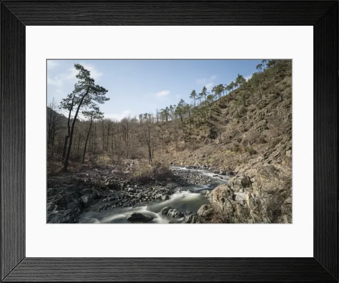 Framed Print : Picture No. 11808341 Framed Print : Picture No. 11808341