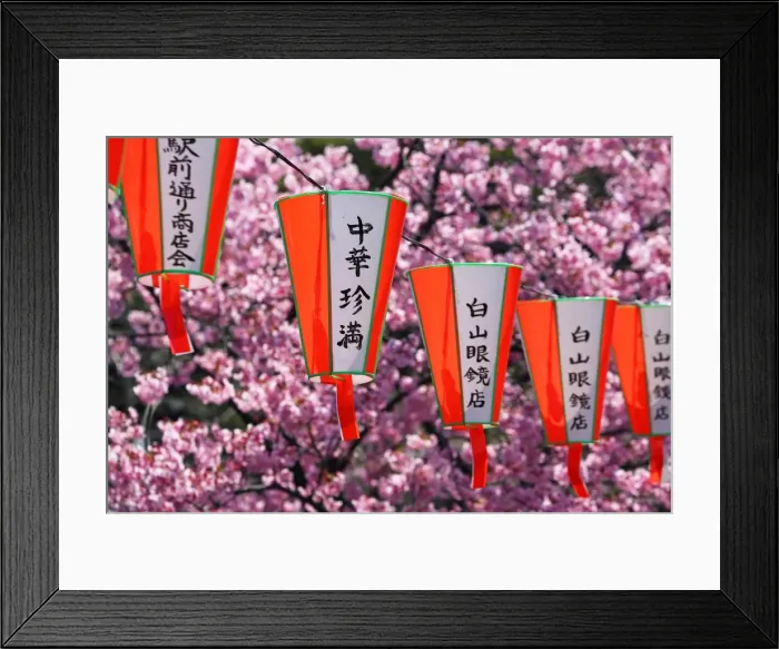 Framed Print : Picture No. 11808353 Framed Print : Picture No. 11808353