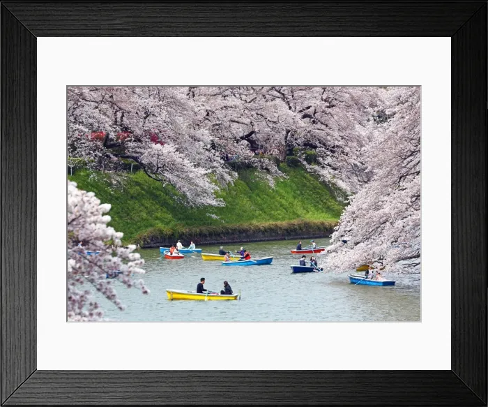 Framed Print : Picture No. 11808364 Framed Print : Picture No. 11808364