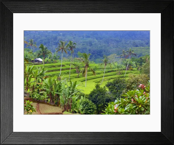 Framed Print : Picture No. 11808414 Framed Print : Picture No. 11808414