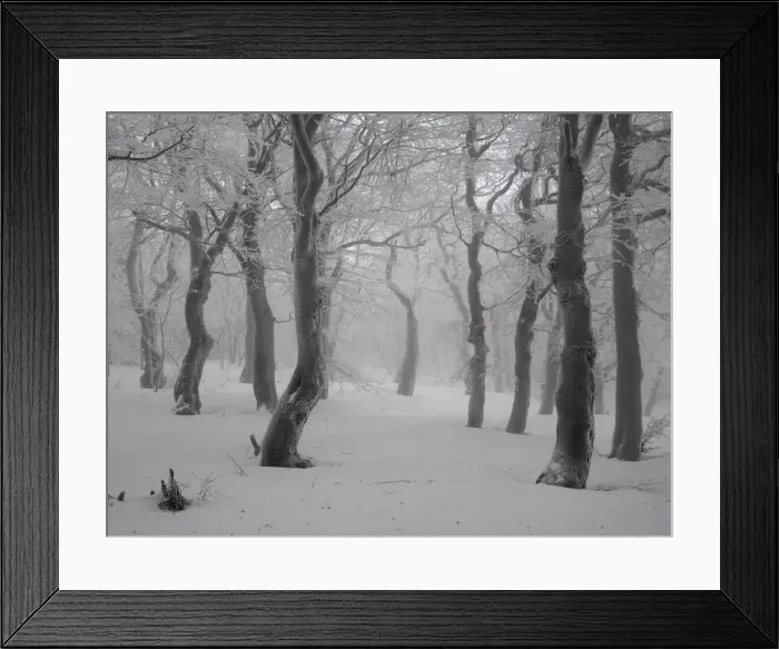 Framed Print : Picture No. 11808509 Framed Print : Picture No. 11808509