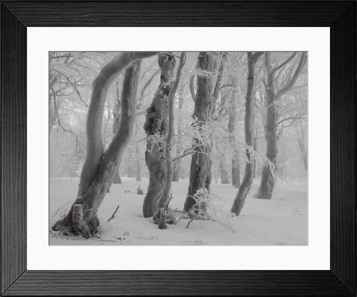 Framed Print : Picture No. 11808521 Framed Print : Picture No. 11808521