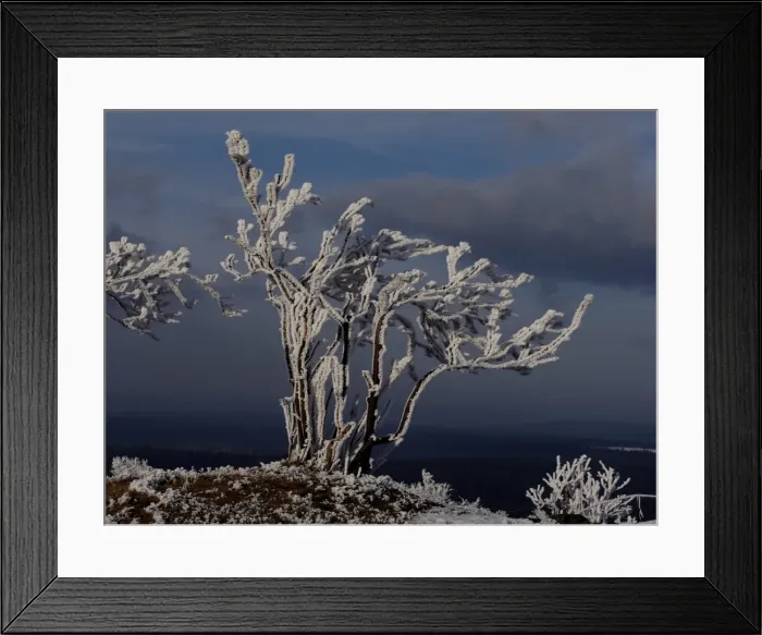 Framed Print : Picture No. 11808522 Framed Print : Picture No. 11808522