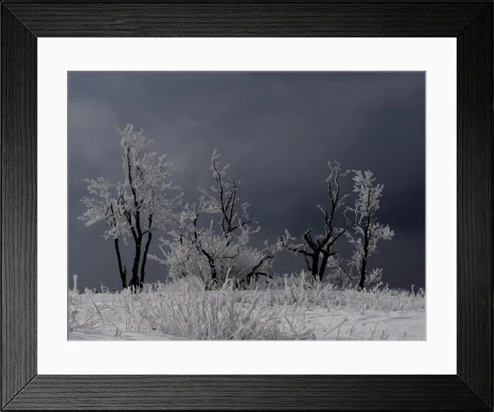 Framed Print : Picture No. 11808525 Framed Print : Picture No. 11808525