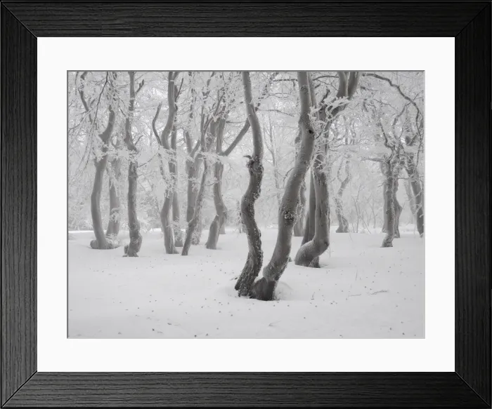 Framed Print : Picture No. 11808545 Framed Print : Picture No. 11808545