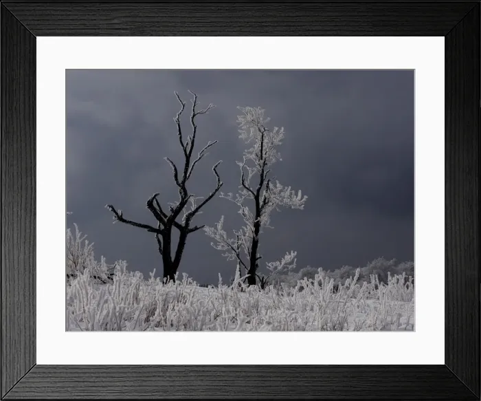 Framed Print : Picture No. 11808551 Framed Print : Picture No. 11808551