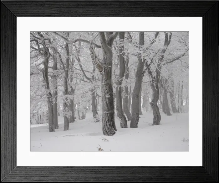 Framed Print : Picture No. 11808552 Framed Print : Picture No. 11808552
