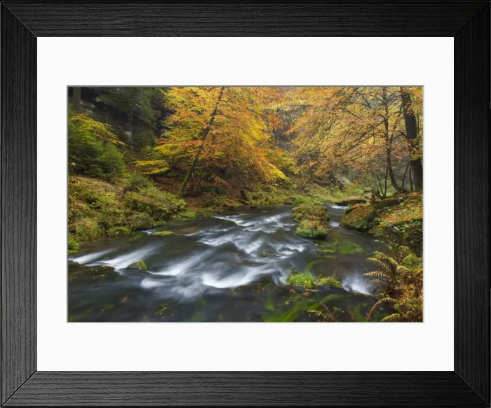 Framed Print : Picture No. 11808567 Framed Print : Picture No. 11808567