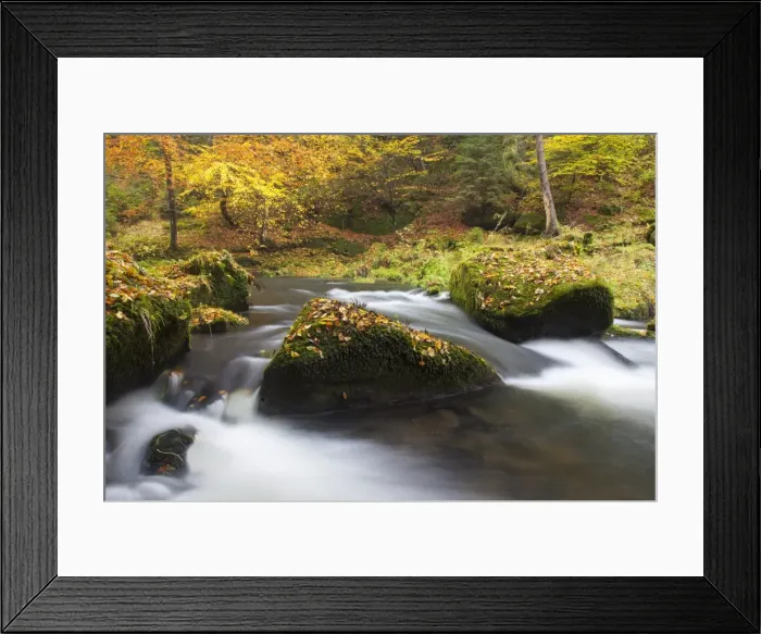 Framed Print : Picture No. 11808568 Framed Print : Picture No. 11808568