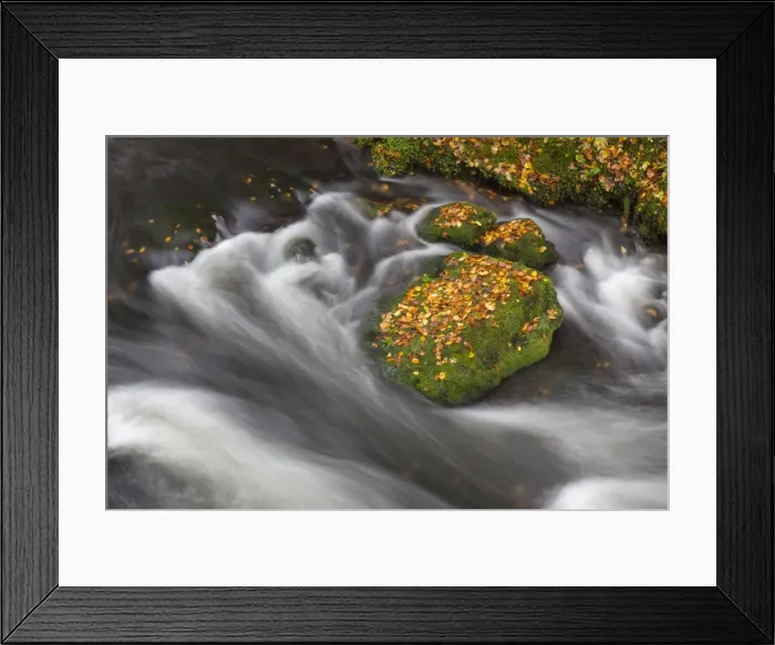 Framed Print : Picture No. 11808570 Framed Print : Picture No. 11808570
