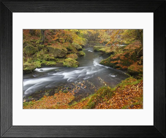 Framed Print : Picture No. 11808571 Framed Print : Picture No. 11808571