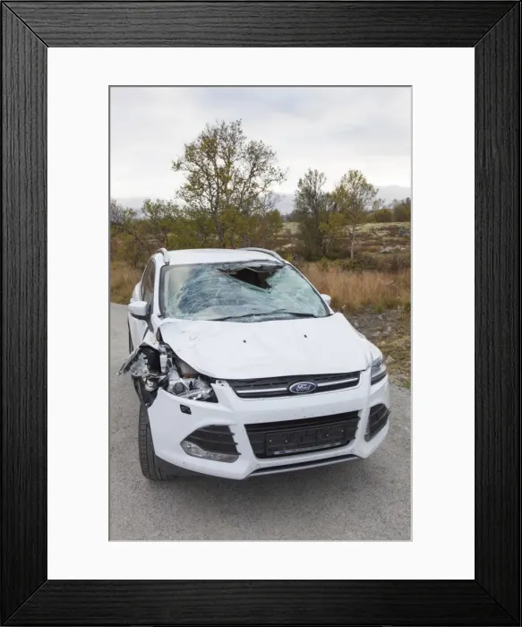 Framed Print : Picture No. 11808588 Framed Print : Picture No. 11808588