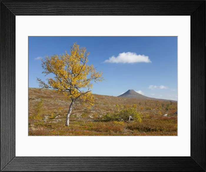 Framed Print : Picture No. 11808592 Framed Print : Picture No. 11808592