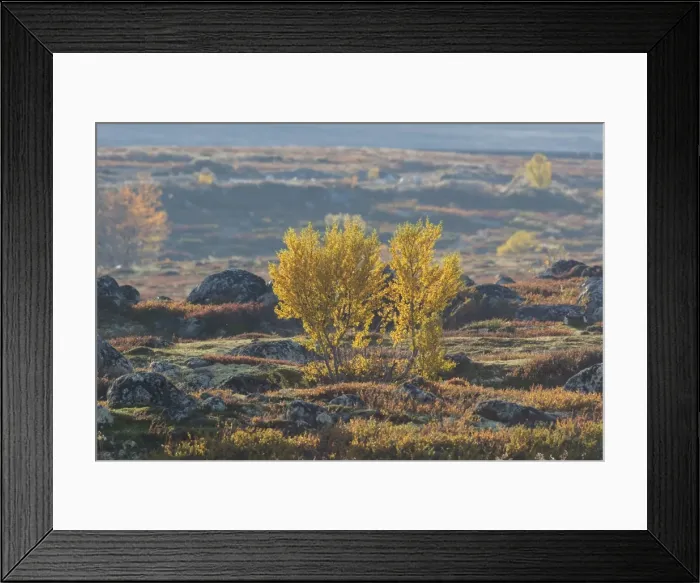 Framed Print : Picture No. 11808622 Framed Print : Picture No. 11808622