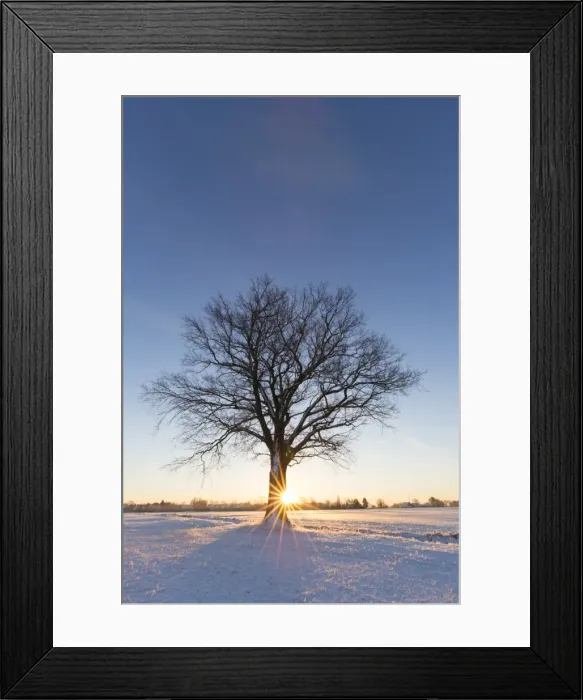 Framed Print : Picture No. 11808634 Framed Print : Picture No. 11808634