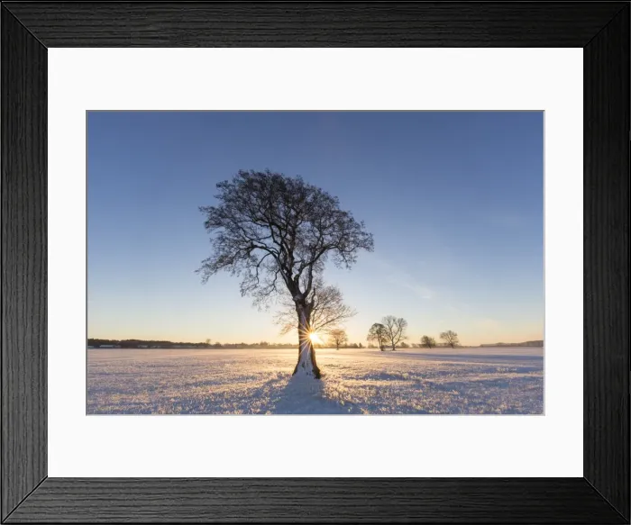 Framed Print : Picture No. 11808635 Framed Print : Picture No. 11808635