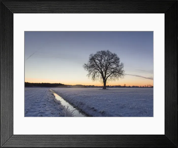 Framed Print : Picture No. 11808636 Framed Print : Picture No. 11808636