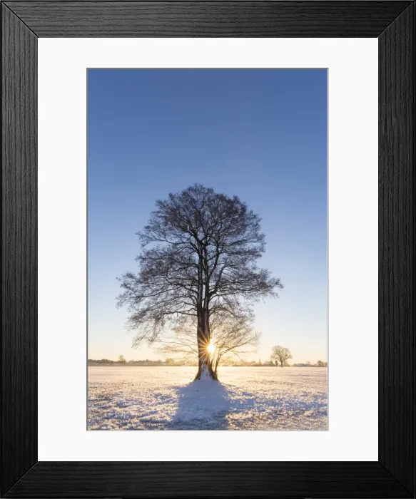 Framed Print : Picture No. 11808637 Framed Print : Picture No. 11808637
