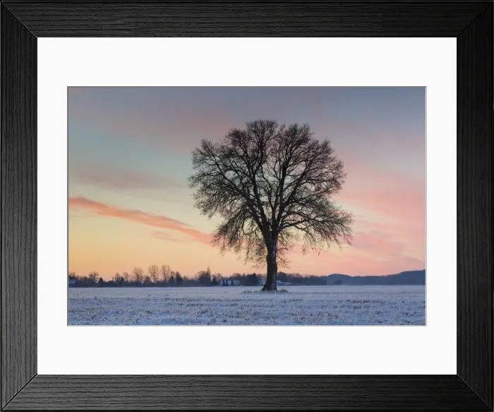 Framed Print : Picture No. 11808638 Framed Print : Picture No. 11808638