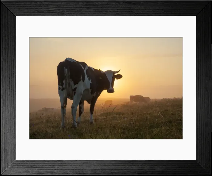 Framed Print : Picture No. 11808639 Framed Print : Picture No. 11808639