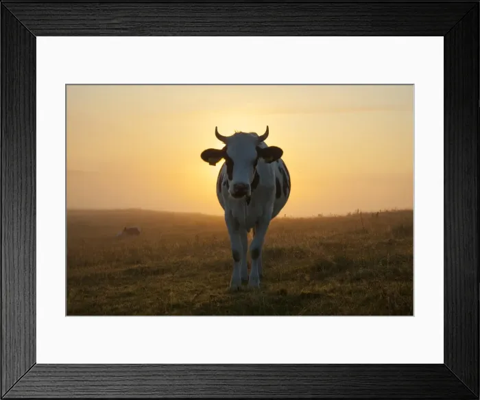 Framed Print : Picture No. 11808640 Framed Print : Picture No. 11808640