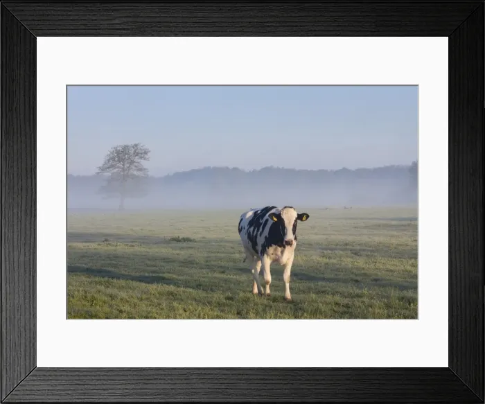 Framed Print : Picture No. 11808641 Framed Print : Picture No. 11808641