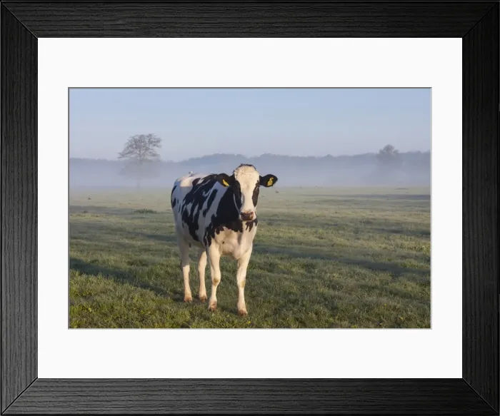Framed Print : Picture No. 11808642 Framed Print : Picture No. 11808642