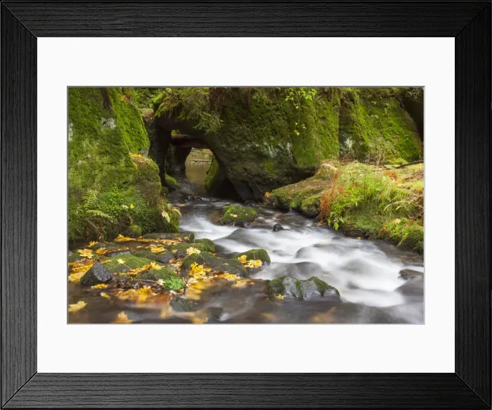 Framed Print : Picture No. 11808659 Framed Print : Picture No. 11808659