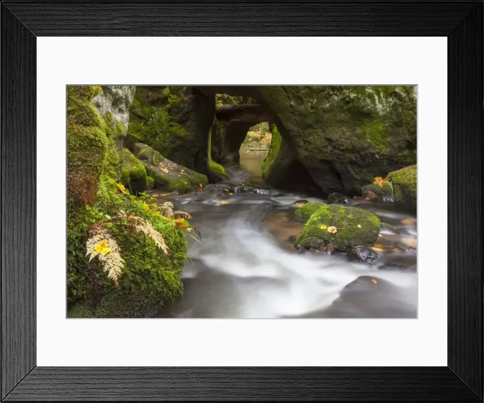 Framed Print : Picture No. 11808661 Framed Print : Picture No. 11808661