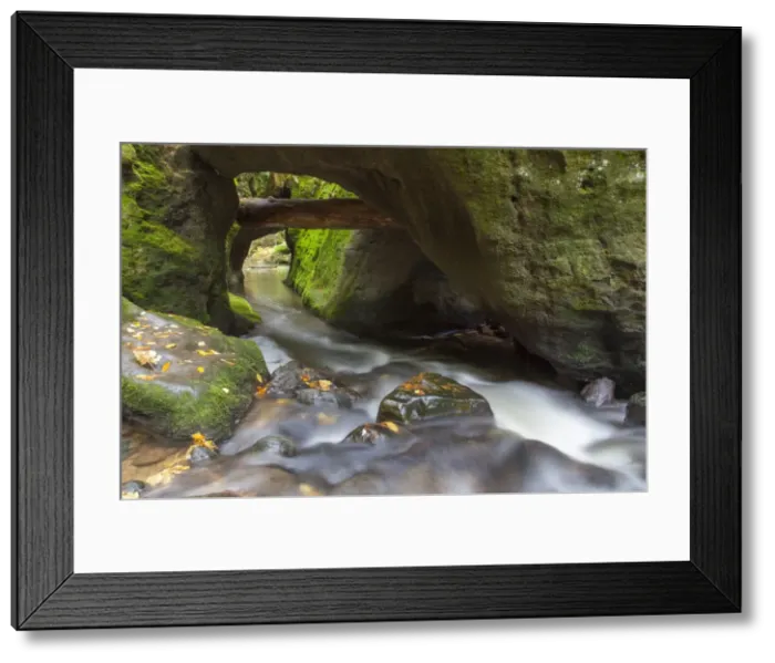 Framed Print : Picture No. 11808662 Framed Print : Picture No. 11808662