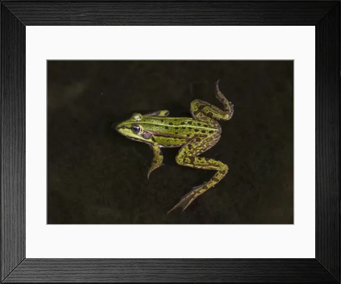Framed Print : Picture No. 11808669 Framed Print : Picture No. 11808669