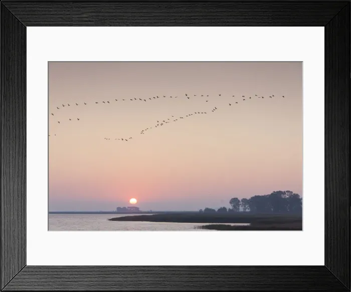 Framed Print : Picture No. 11808671 Framed Print : Picture No. 11808671