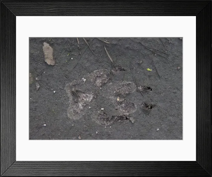 Framed Print : Picture No. 11808675 Framed Print : Picture No. 11808675