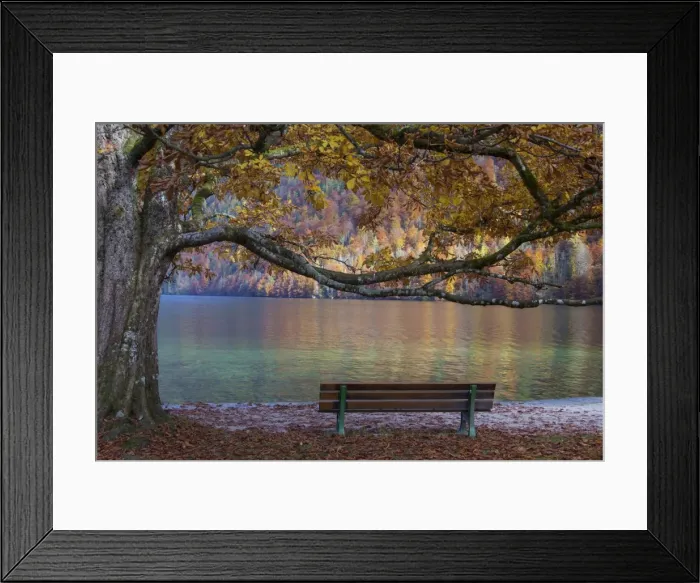 Framed Print : Picture No. 11808703 Framed Print : Picture No. 11808703