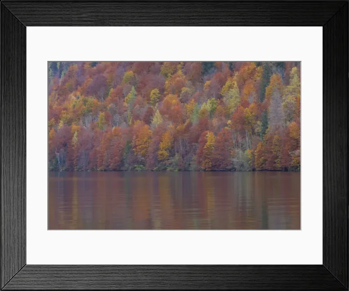 Framed Print : Picture No. 11808704 Framed Print : Picture No. 11808704