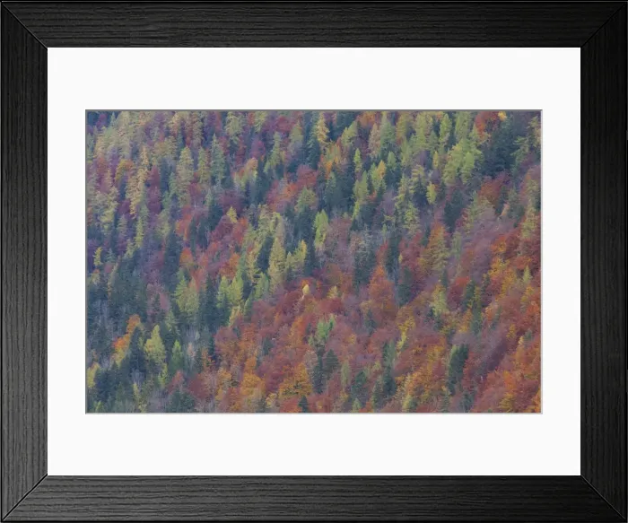 Framed Print : Picture No. 11808707 Framed Print : Picture No. 11808707