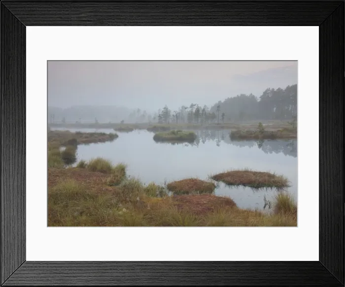 Framed Print : Picture No. 11808708 Framed Print : Picture No. 11808708