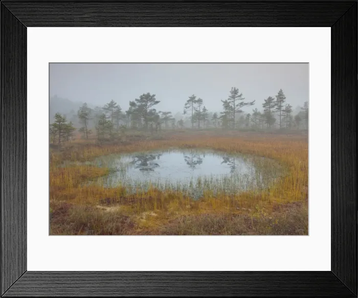 Framed Print : Picture No. 11808709 Framed Print : Picture No. 11808709