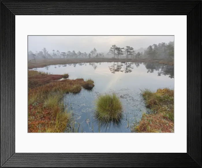 Framed Print : Picture No. 11808710 Framed Print : Picture No. 11808710