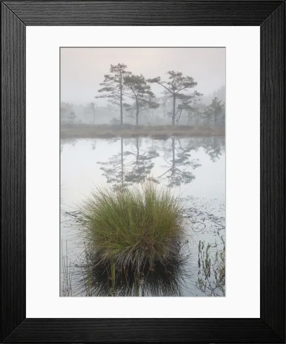Framed Print : Picture No. 11808711 Framed Print : Picture No. 11808711