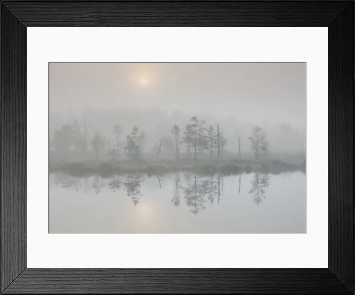 Framed Print : Picture No. 11808712 Framed Print : Picture No. 11808712