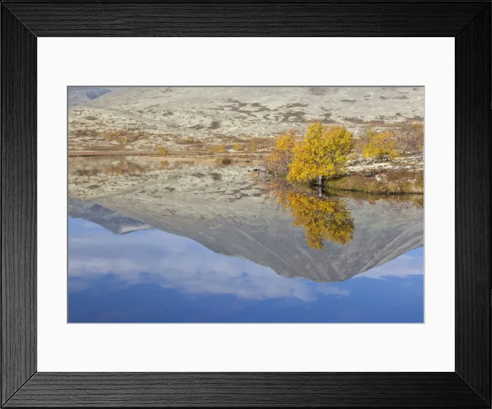 Framed Print : Picture No. 11808726 Framed Print : Picture No. 11808726