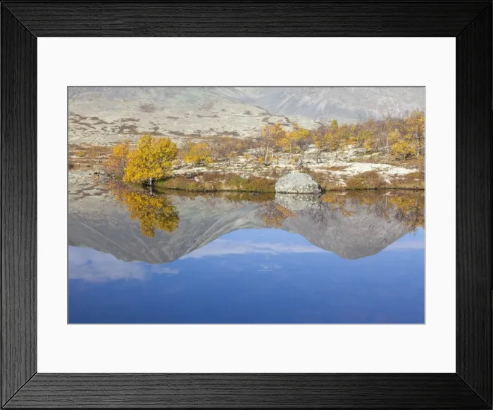 Framed Print : Picture No. 11808727 Framed Print : Picture No. 11808727