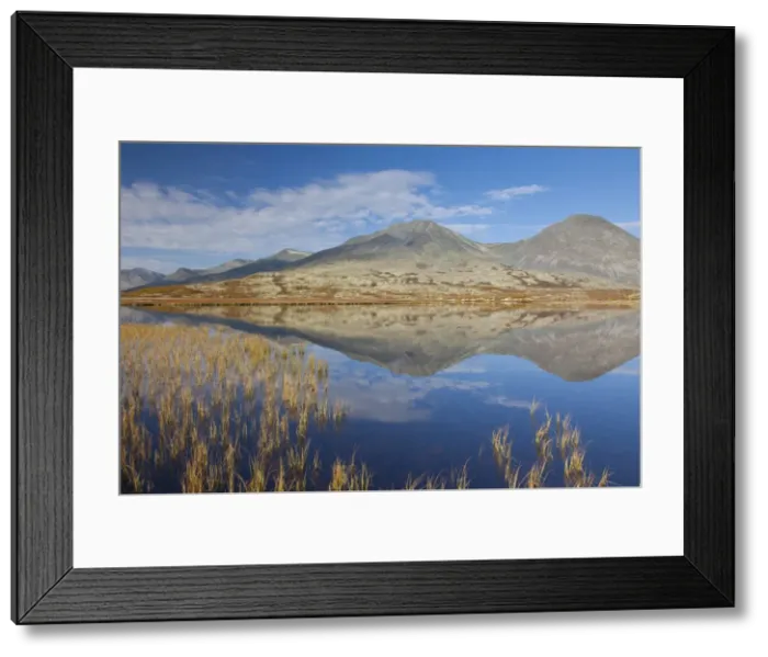 Framed Print : Picture No. 11808728 Framed Print : Picture No. 11808728