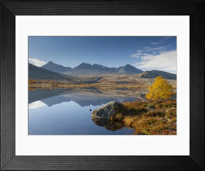 Framed Print : Picture No. 11808732 Framed Print : Picture No. 11808732