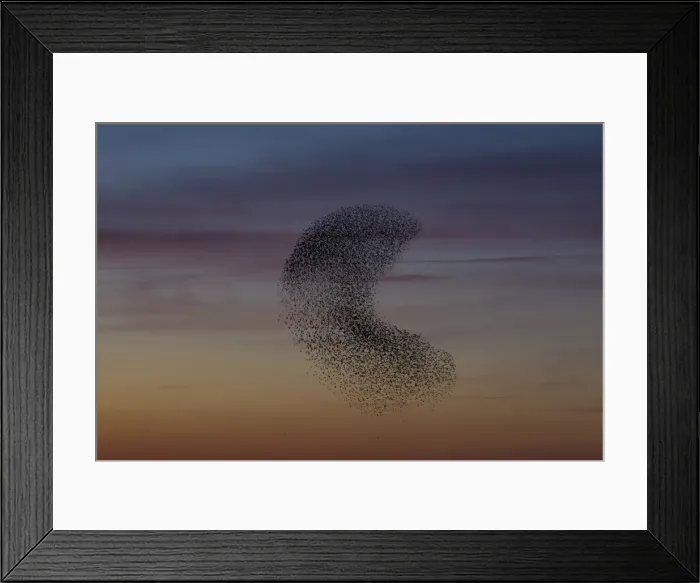Framed Print : Picture No. 11808751 Framed Print : Picture No. 11808751
