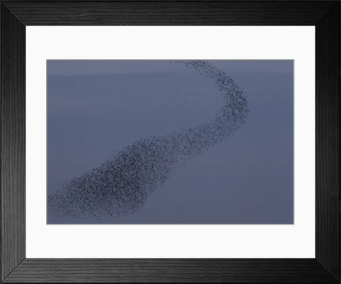 Framed Print : Picture No. 11808756 Framed Print : Picture No. 11808756