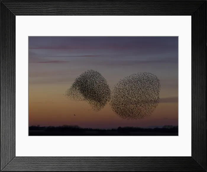 Framed Print : Picture No. 11808757 Framed Print : Picture No. 11808757