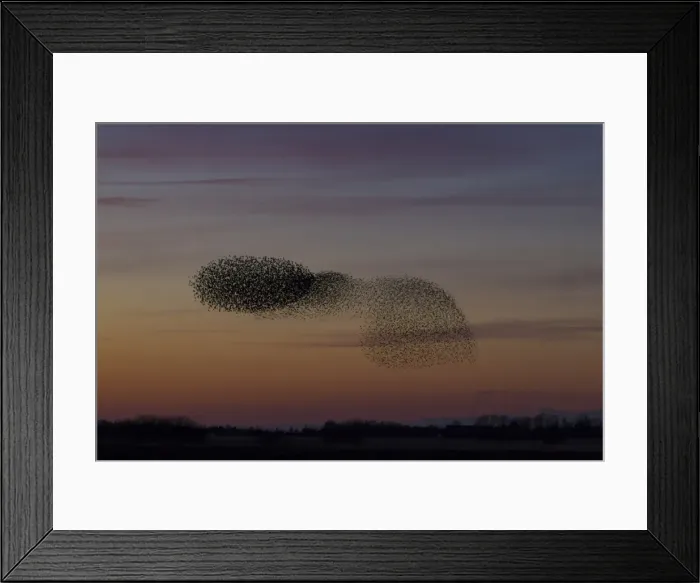 Framed Print : Picture No. 11808758 Framed Print : Picture No. 11808758