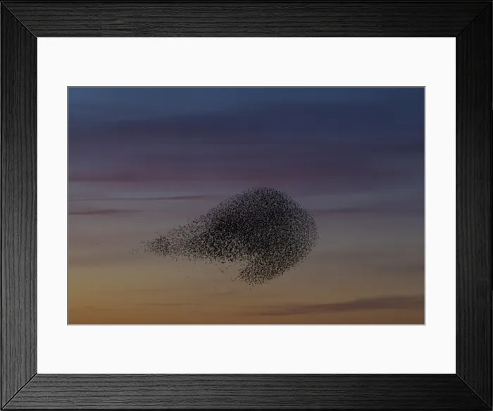 Framed Print : Picture No. 11808759 Framed Print : Picture No. 11808759